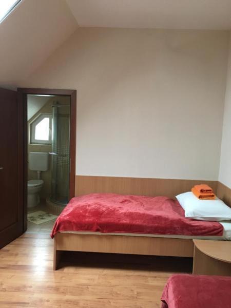 Napfeny Panzio Es Rendezvenyhaz Hotel Kecskemet Bagian luar foto